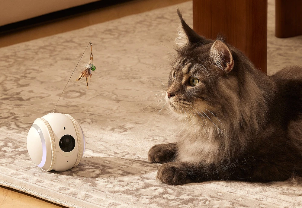 pet surveillance camera