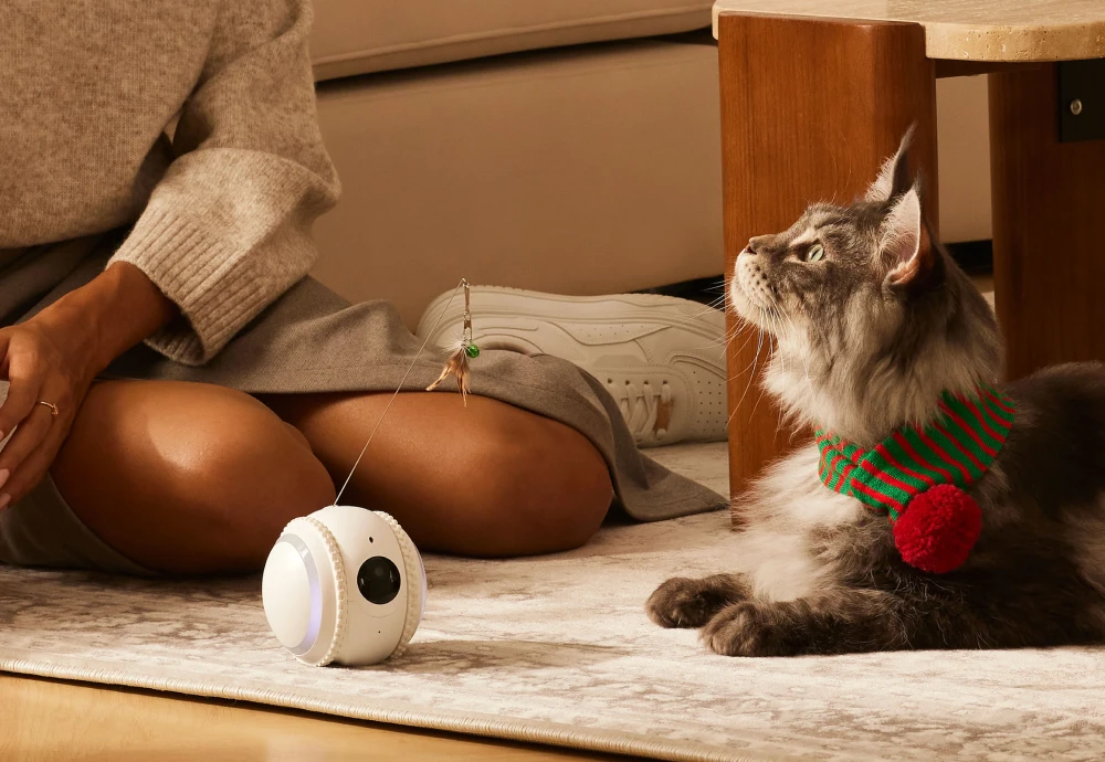 pet surveillance camera