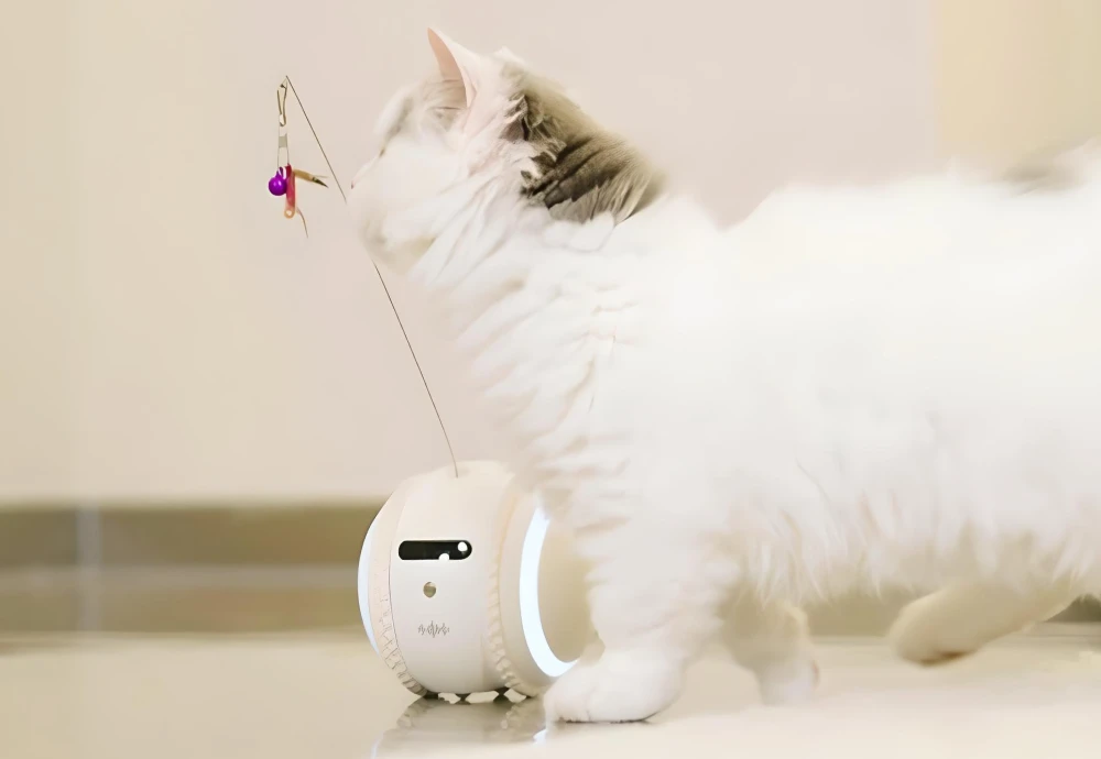 wireless pet camera