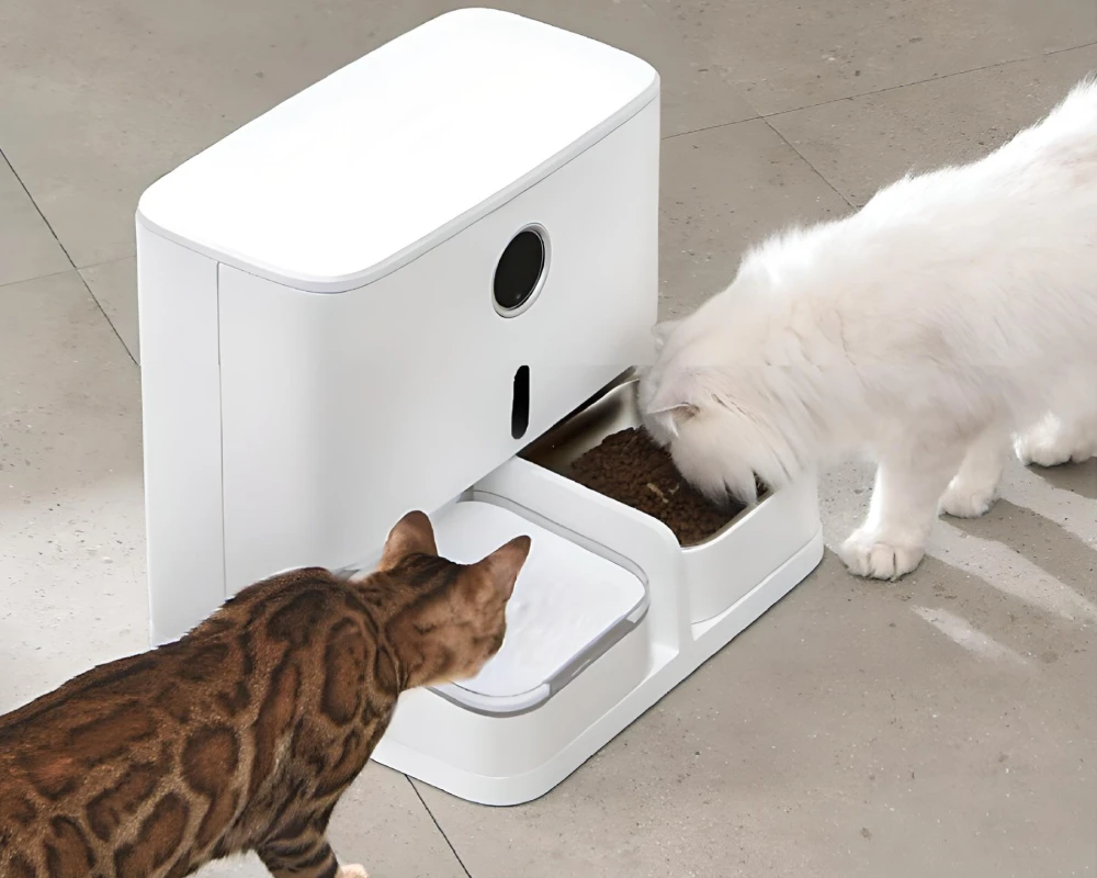 wifi automatic pet feeder