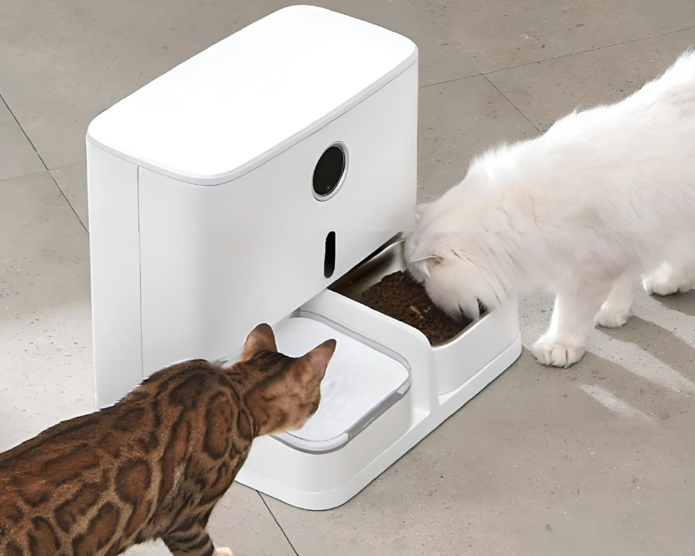 automatic pet feeder bowl