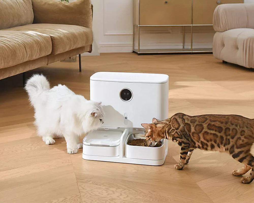 best cat feeder with camera