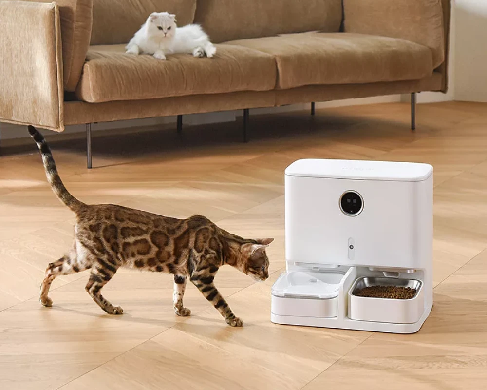 top pets automatic pet feeder