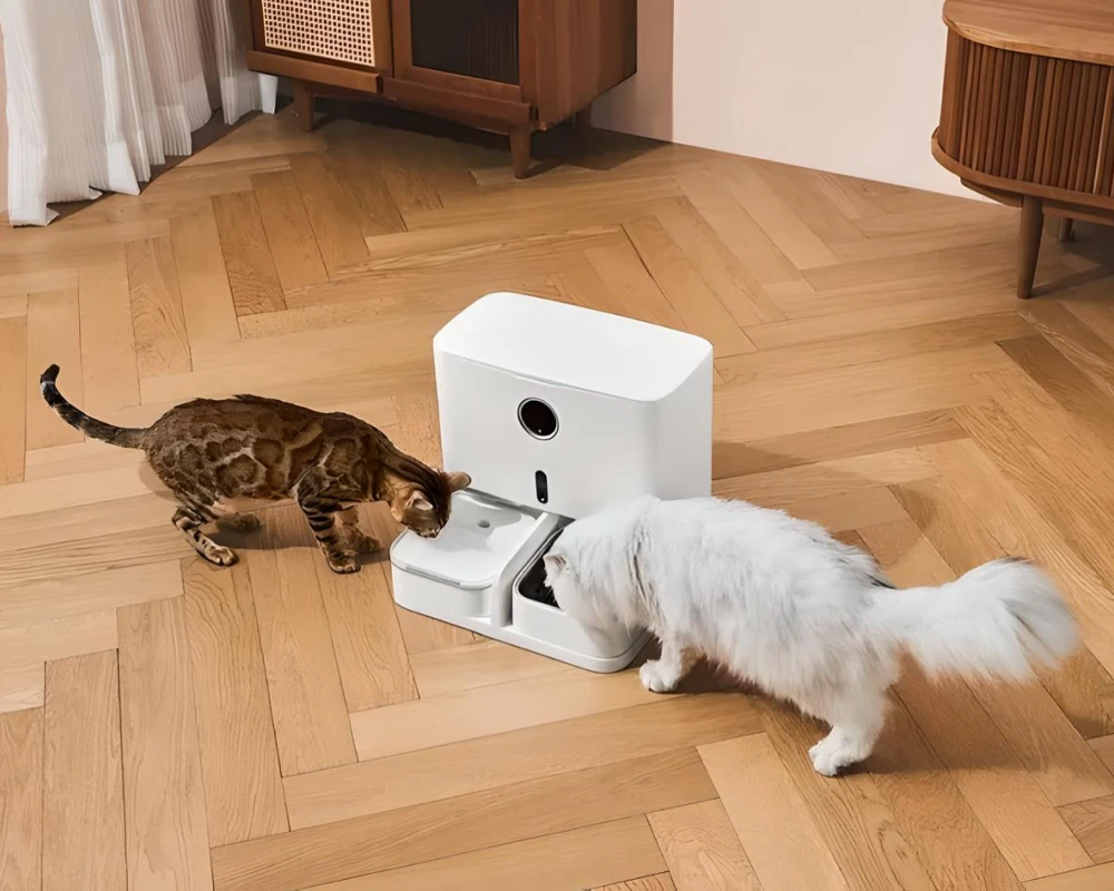 the best automatic pet feeder