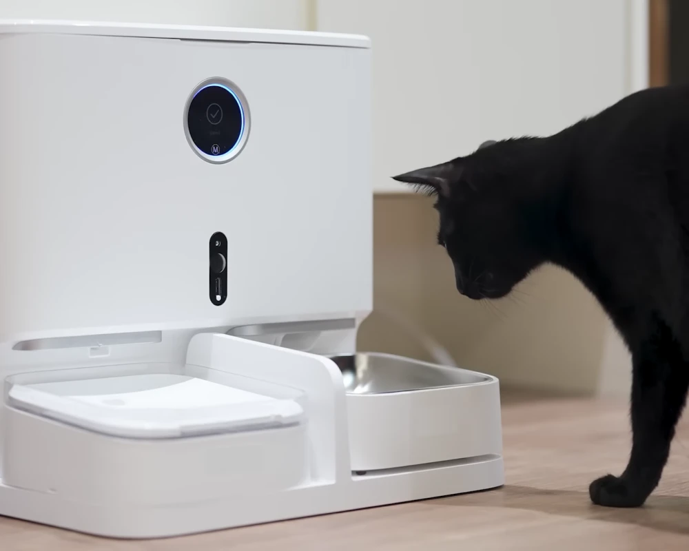 automatic dry food pet feeder